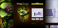 Exclusive designer-wide flash templates