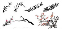 Plum Orchid vector