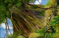 tree and Grasshoppers