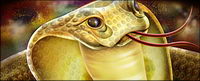 Cobra Featured psd layered material